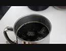 テスト用動画　コーヒー入れるだけ