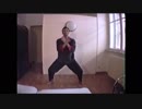 What style is this martial art? 这是什么样的武术？