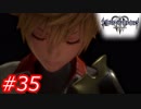 【泣かずにプレイ】キングダムハーツ３　Part35