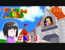 【マリオ64】大好きな箱庭マリオの原点なワケだが、じつは【初見実況】part３３
