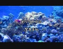 【Ｅ鯖】 釣りバカ日記よりお知らせ【釣りトレハン参加者募集】