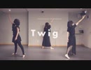 【neko3】Twig 踊ってみた【オリジナル振付】