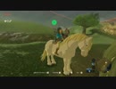 #48【縛り実況】軽めに縛ってハイラルを駆ける【ゼルダの伝説　ブレス オブ ザ ワイルド】　