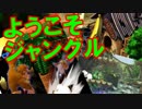 【スマブラSP】気ままに灯火の星やっていくよ　その18【実況】
