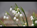 誕生日に贈る言葉～2月7日生まれの好奇心旺盛なあなたに－聴きものがたり