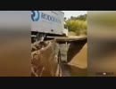 百合のお嬢様と見る危機一髪車載動画