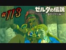 新作ゼルダを風タクしかやったことないうp主がプレイしてしまった part113