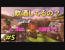 【マリオカート8DX】超エンジョイ勢によるマリオカート実況＃5