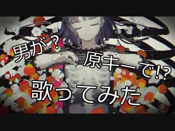 男が原曲キーで「乙女解剖」を歌ったら乙女になった！？【スタンガン】