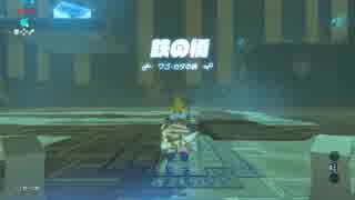【ゼル伝BotW】100年の眠りから目覚めた勇者の冒険３５【もちまる】