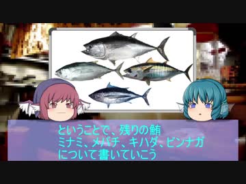 【ゆっくり解説】ゆっくりわかさぎ姫が教える魚　#５匹目　~鮪 続編~