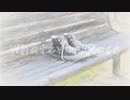 【ニコカラ】Whatever Race【on vocal】