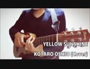 鉄弦ギタレレで押尾さん(YELLOW SUNSHINE)弾いてみた。