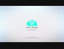 pCloud 「Momentum」