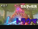 【実況】ゼルダ童貞による ゼルダの伝説BotW（ブレスオブザワイルド）Part117