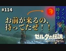【実況】ゼルダ童貞による ゼルダの伝説BotW（ブレスオブザワイルド）Part114