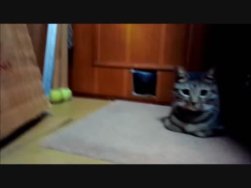 にゅ～→がばっ