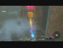 【多分世界初】神獣ヴァ・ルッタに乗ってみた