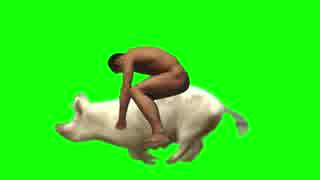豚に乗って走る野獣先輩gb 使用例 ニコニコ動画