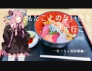 【琴葉茜車載】見たことのない色を、見にいこう。―その３―【レブル５００】