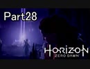 【実況】Horizon Zero Dawn を最初から。 Part28【女性実況】