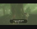【実況】完全初見のゼルダの伝説ブレスオブザワイルドpart21