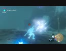 【実況】完全初見のゼルダの伝説ブレスオブザワイルドpart24