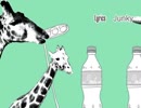 メランコリック 歌ってみました【眞喜助-まきすけ】