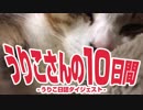 うりこさんの10日間 - 2019②