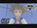 【KINGDOM HERATS Re:Chain of Memories】実況プレイ#25
