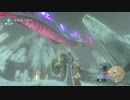 【実況】完全初見のゼルダの伝説ブレスオブザワイルドpart25