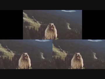 いろんなデレステMVで絶叫するビーバー 3匹目