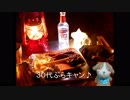 30代ぶらキャン♪　クリスマスっぽいキャンプ編②