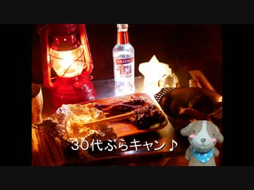 30代ぶらキャン♪　クリスマスっぽいキャンプ編②
