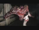 【Z.ver】バイオRE2をゆったり実況プレイしたい【レオン編#5】