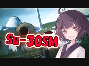 【ACE COMBAT 7】きりたんと、この大空を泳ぎましょう。【前編】