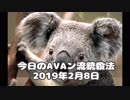 今日のAVAン流銃殺法 2019年02月08日