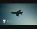 ACECOMBAT7 適当にオンラインマルチ対戦 #1 チームデスマッチ