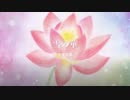 映画『雪の華』 中島美嘉　Covered by fuwari / Mayumin