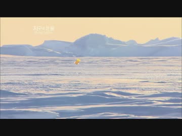 だいだいだいだいだい