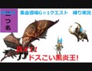 【MHXX縛り実況 真#11】ドスこい黒炎王!VS黒炎王リオレウス他
