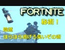 [フォートナイト]　勝利の決め手は陰遁の秘術　[実況]