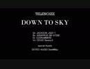 DOWN TO SKY