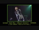 Jumpin' Jack Boy ~Album Version~　WANDS 【 LIVE-JUNK#2 】