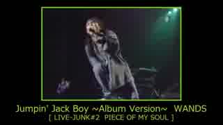 WANDS PIECE OF MY SOUL LIVE-JUNK #2 限定希少 WANDS PIECE OF MY SOUL LIVE-JUNK #2 限定希少 WANDS PIECE OF