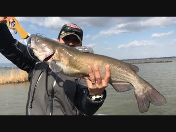 外来種を食べに行こう！【#８mottiさん合同前編】