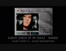 ALBUM INFORMATION /【PIECE  OF MY SOUL】 WANDS