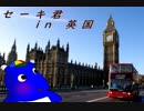 セーキ君 in 英国