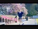 【イリス】　今好きになる。踊ってみた　【ハッピーバレンタイン】