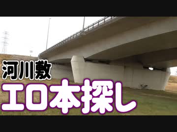 平成も終わるけど、河川敷にエロ本は落ちているのか